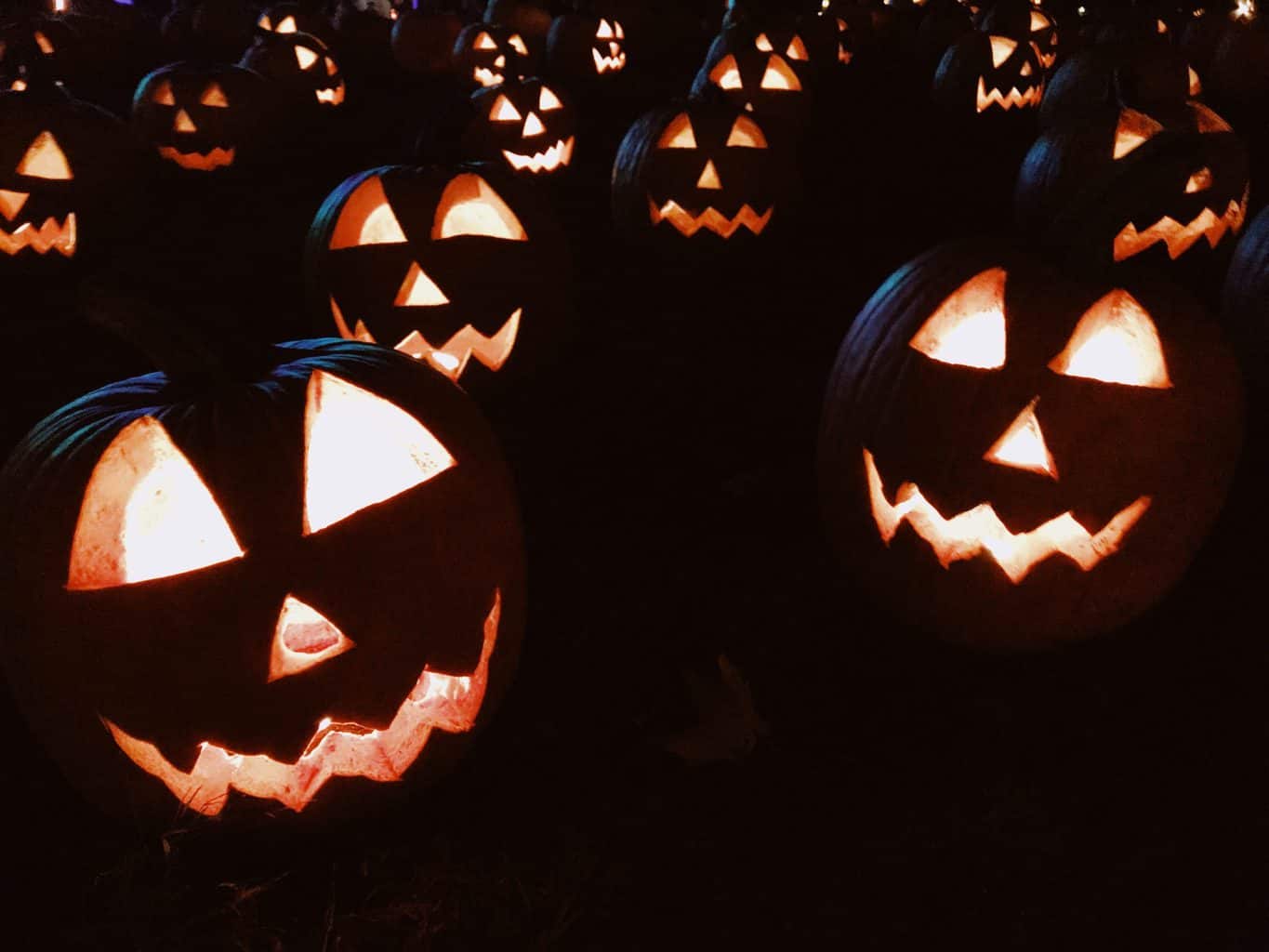 Casino halloween